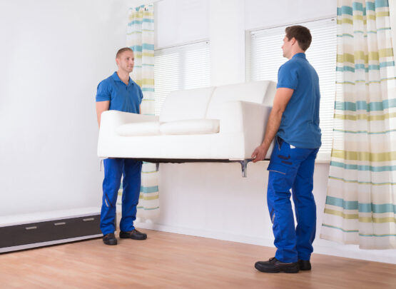 Est at dico verterem